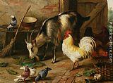 Goat Canvas Paintings - A Goat Chicken and Doves in a Stable